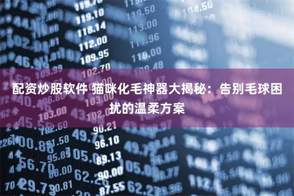 配资炒股软件 猫咪化毛神器大揭秘：告别毛球困扰的温柔方案
